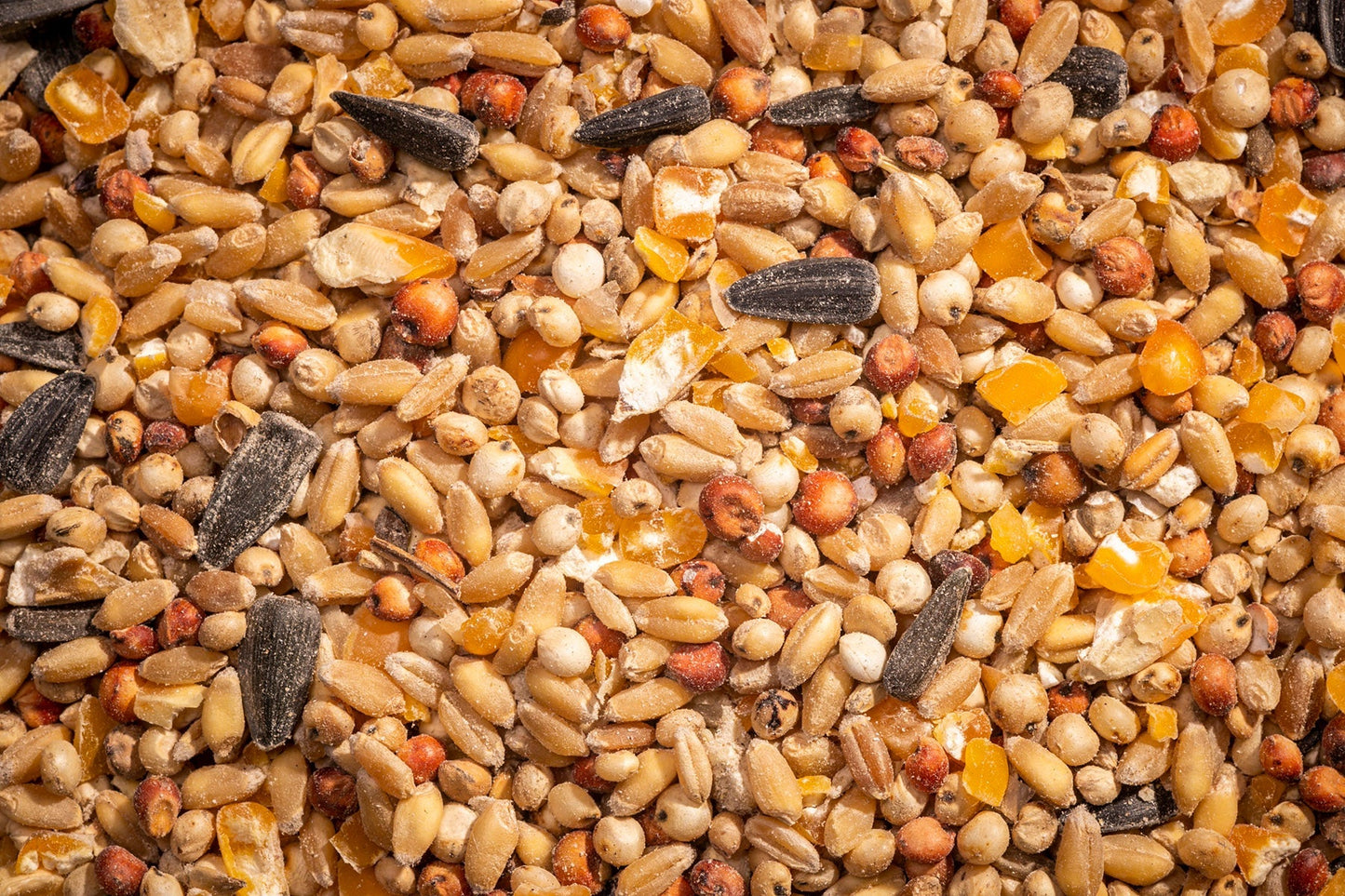 Modesto Milling Scratch Cracked Corn, Whole Wheat &amp; Sunflower Seed - Free Shipping