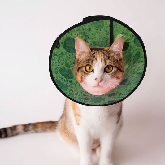 Sebastian & Clementine Green Painting Pet Elizabethan Collar