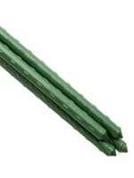 Sturdy Coated Steel Garden Stakes (available in lengths of: 2.5', 3', 4' and 5' - all 7/16" dia.)