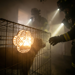 Rescue+Retriever™ Pet Smoke Detector — Designed by a Firefighter to Save Your Pet