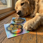 Rescue+Retriever Two Pack Decal