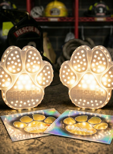 Rescue+Retriever Multi-pack