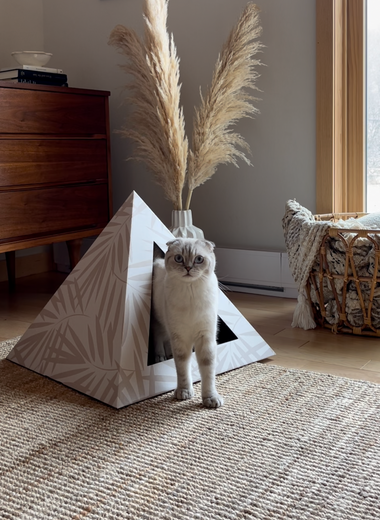 'Neutral Palm' Cardboard Cat Pyramid