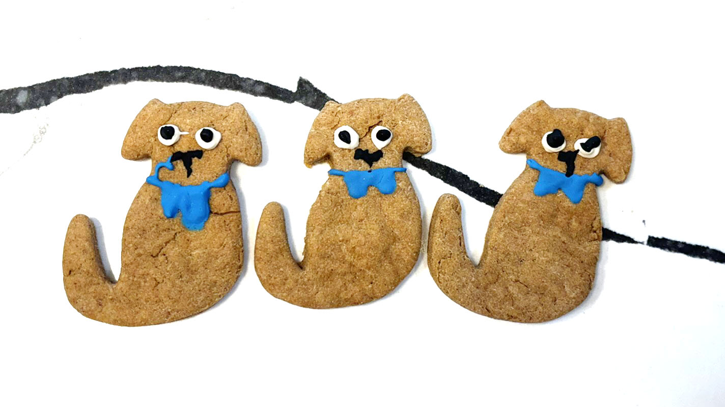 PAWsome Cookie Bundle for Dogs – Finn Cookies, Pawquarium Fish Treats & Peanut Butter Bones