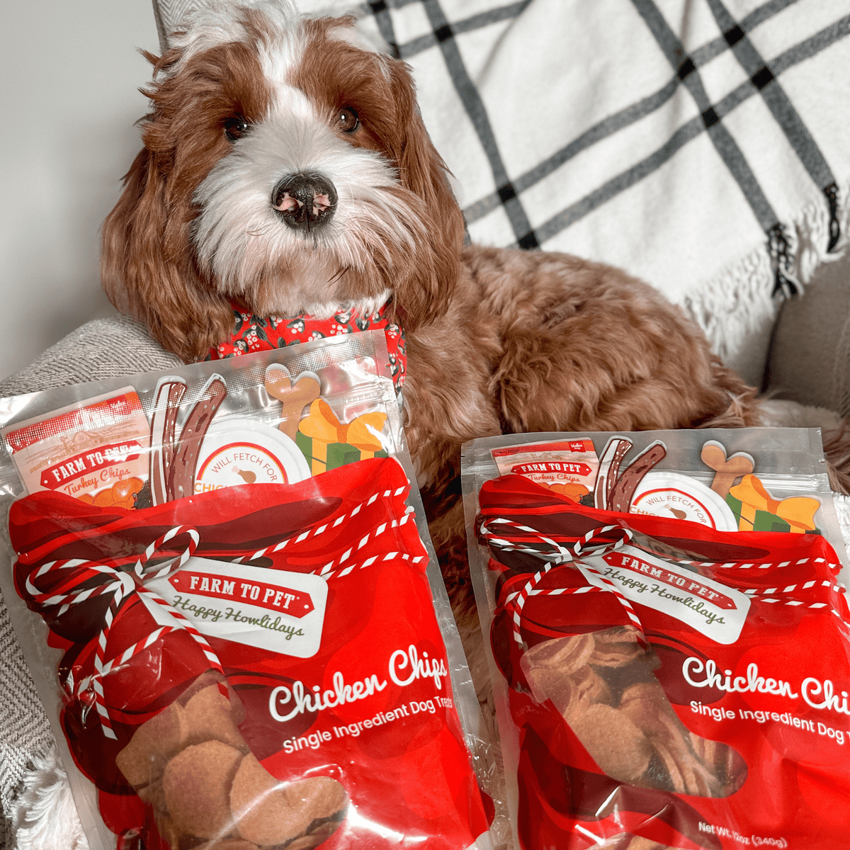 Santa Paws' Best Chipmas Box | Christmas Dog Treat Gift Box