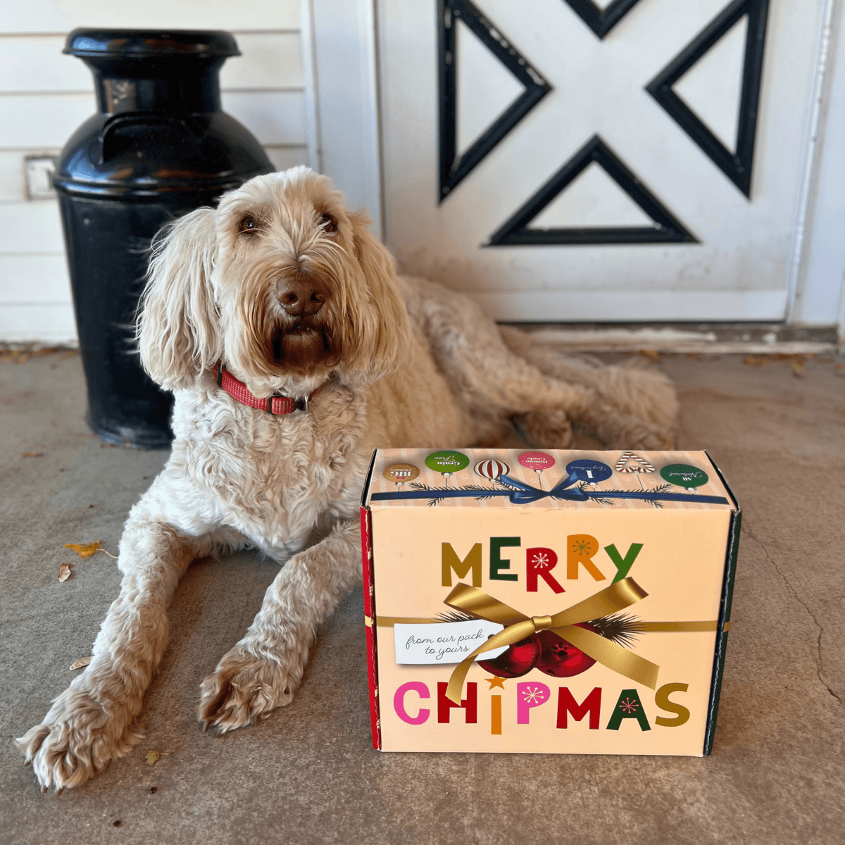 Santa Paws' Best Chipmas Box | Christmas Dog Treat Gift Box