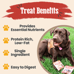 Snack Pack Dog Treat Sampler
