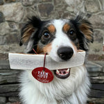 Elk Antler Dog Chews | All-Natural Whole and Split Elk Antler Chews for Dogs
