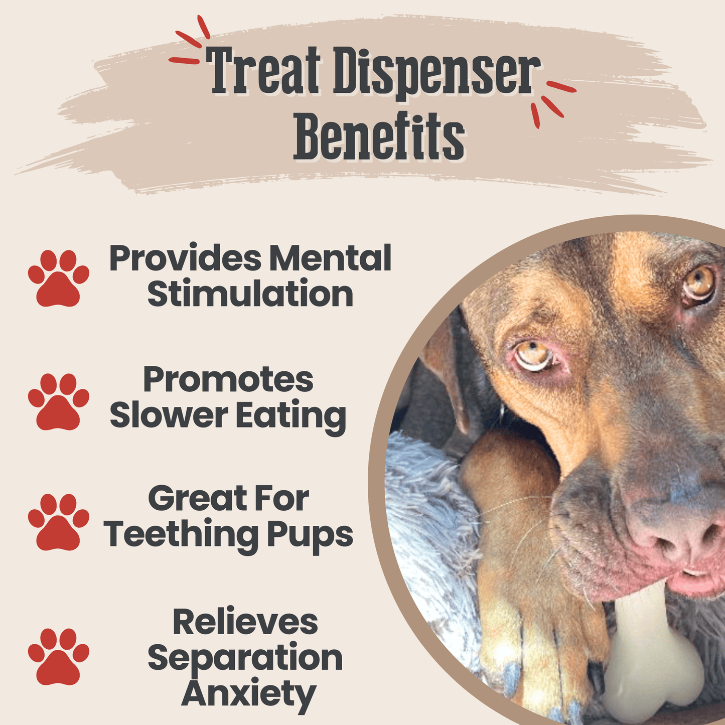 Dog Treat Dispensers