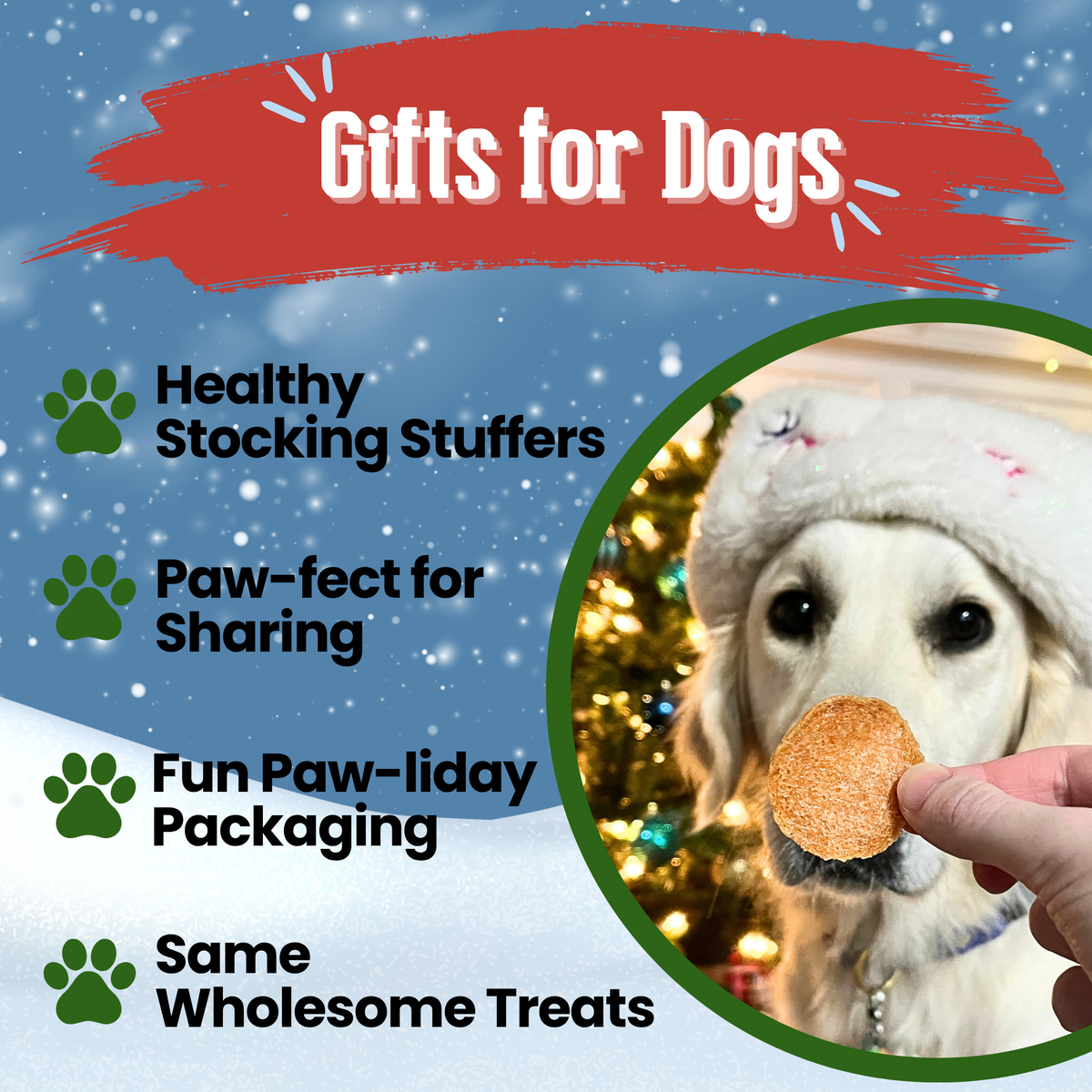 Holiday Chips Chicken & Turkey | Christmas Dog Treats 12oz