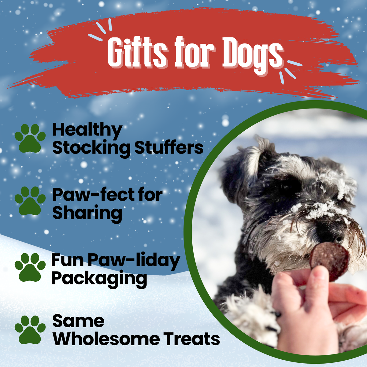 Holiday Chips Beef & Fish | Christmas Dog Treats 4oz