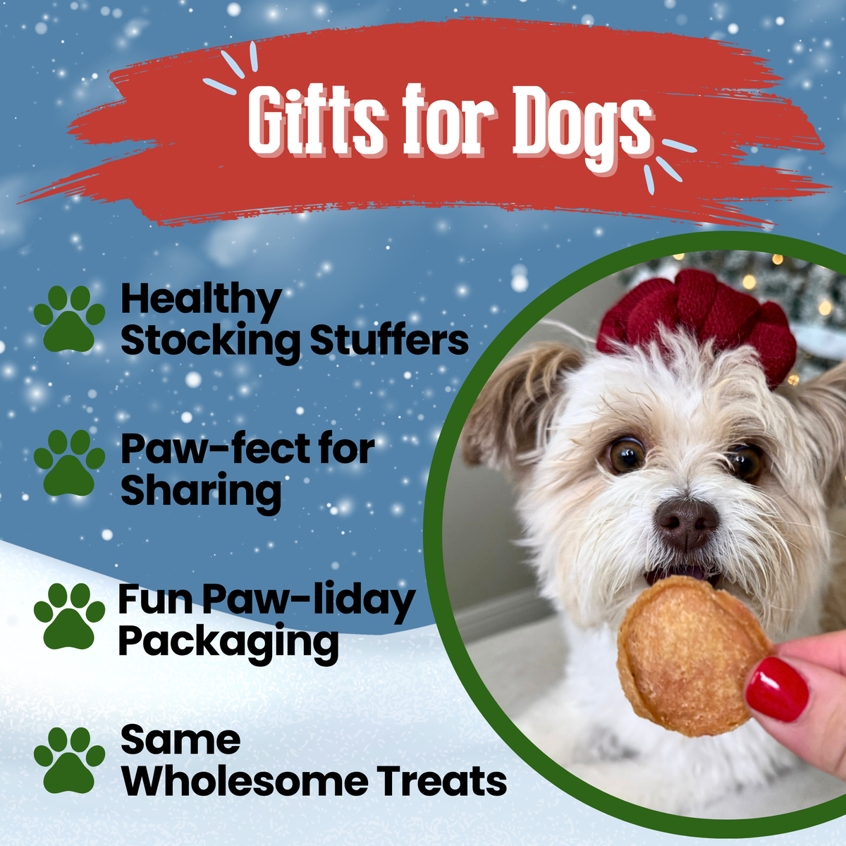 Holiday Chips Chicken & Turkey | Christmas Dog Treats 12oz