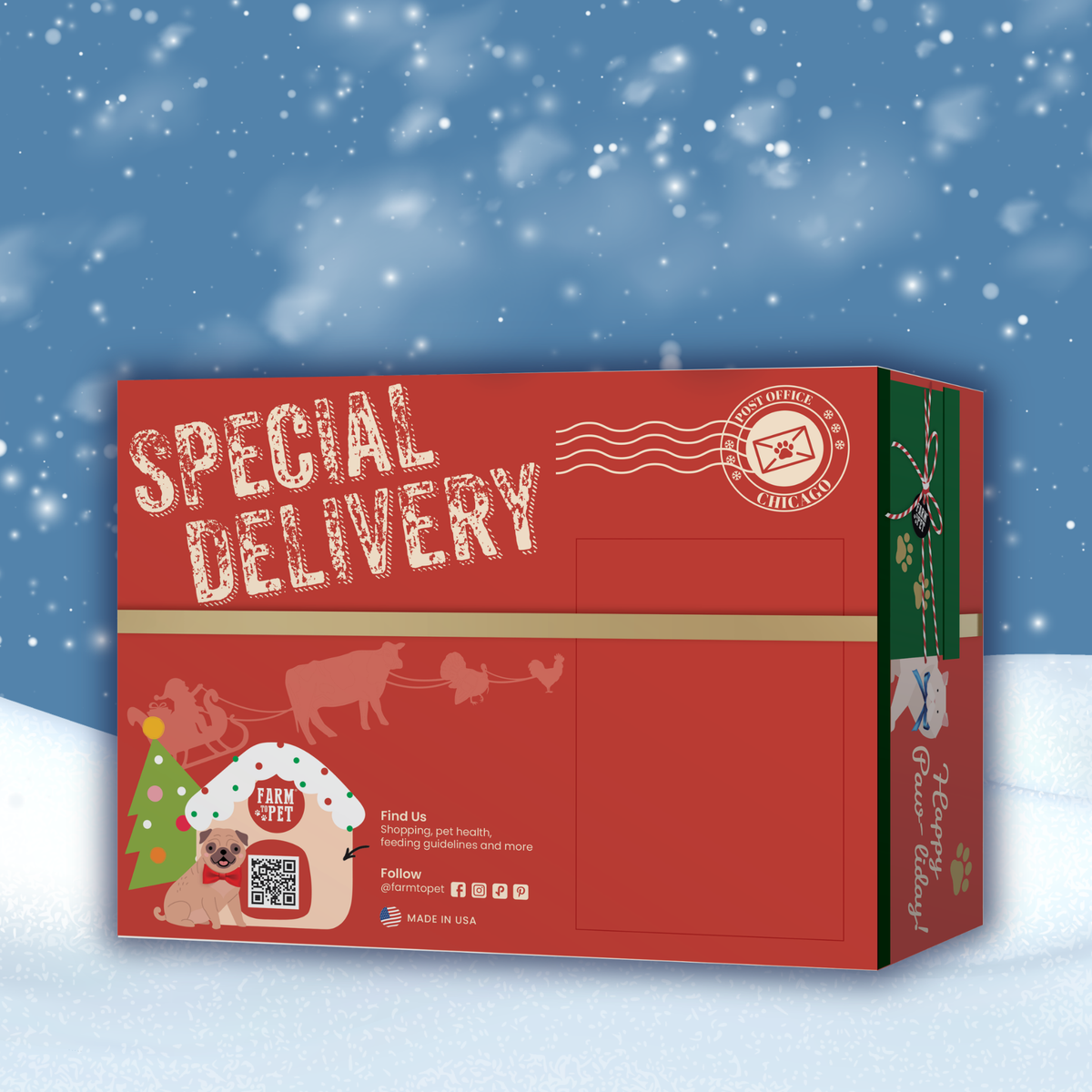 Santa Paws' Best Chipmas Box | Christmas Dog Treat Gift Box