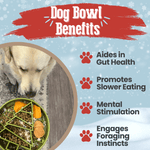 Slow Feeder Dog Bowls