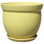 Flared Rim Planter with Attached Saucer, 6.25“x 5.5”