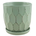 Distressed Honeycomb Pot with Attached Saucer, 6.75“ x 7”