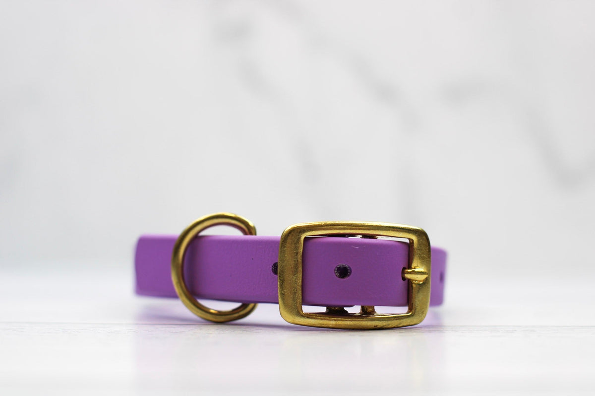 Taro Tango Biothane Collar