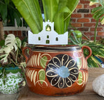 Socorro Mission plant stake