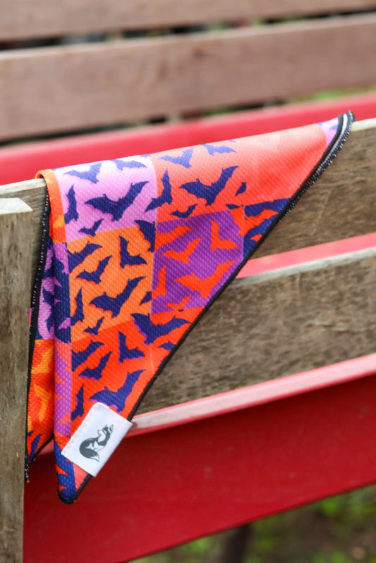 Spooky Bat Squares Dog Bandana