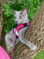 Kitty Holster Cat Harness (Made in USA Reflective Safety Harness)