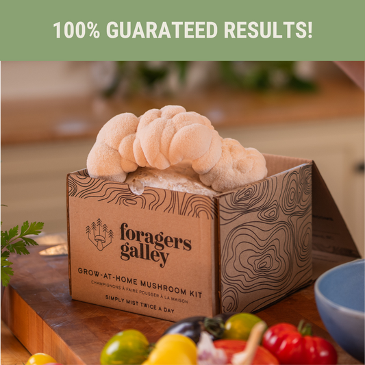 Foragers Galley Grow at Home Mushroom Kit Lion's Mane