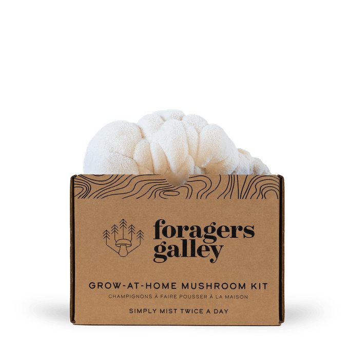 Foragers Galley Grow at Home Mushroom Kit Lion's Mane