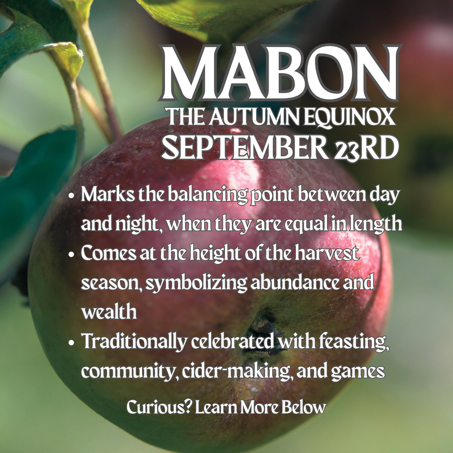 Mabon Diffuser Oil – Fresh Apples, Apple Pie & Harvest Spices