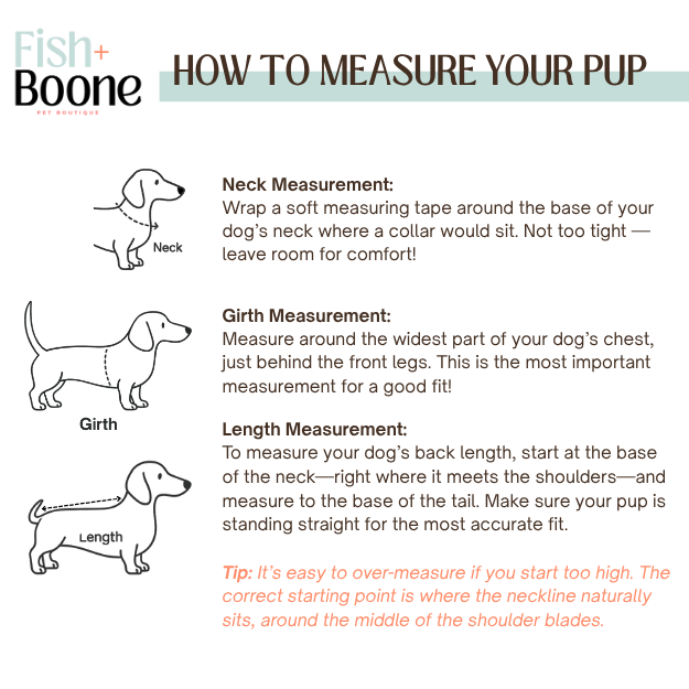 Southern Bloom Dog Coat