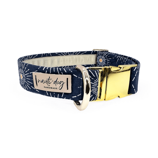 Northstar Celestial Constellation Navy Buckle & Martingale Dog Collar