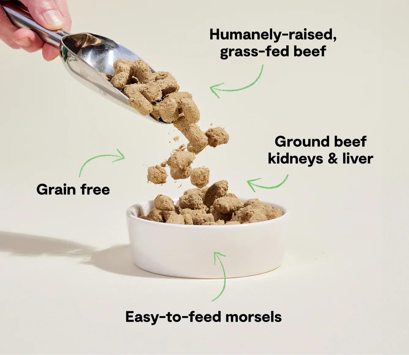 Open Farm Dog Freeze Dried Morsels Grassfed Beef (13.5oz)