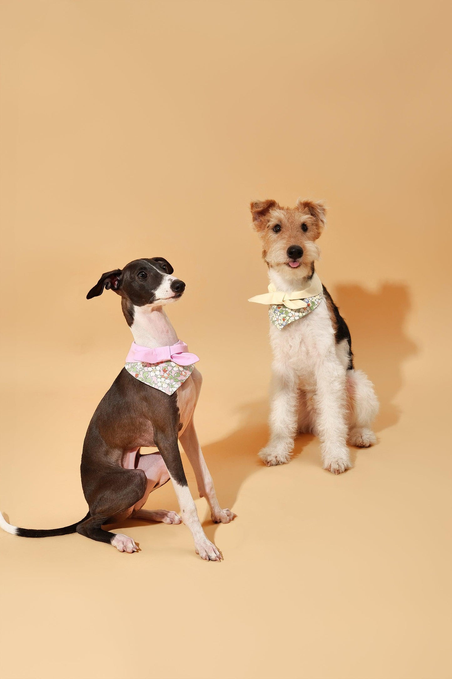 Bowtiful Garden Butter Yellow Floral Bandana