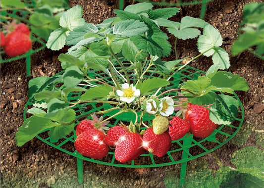 Plant supports