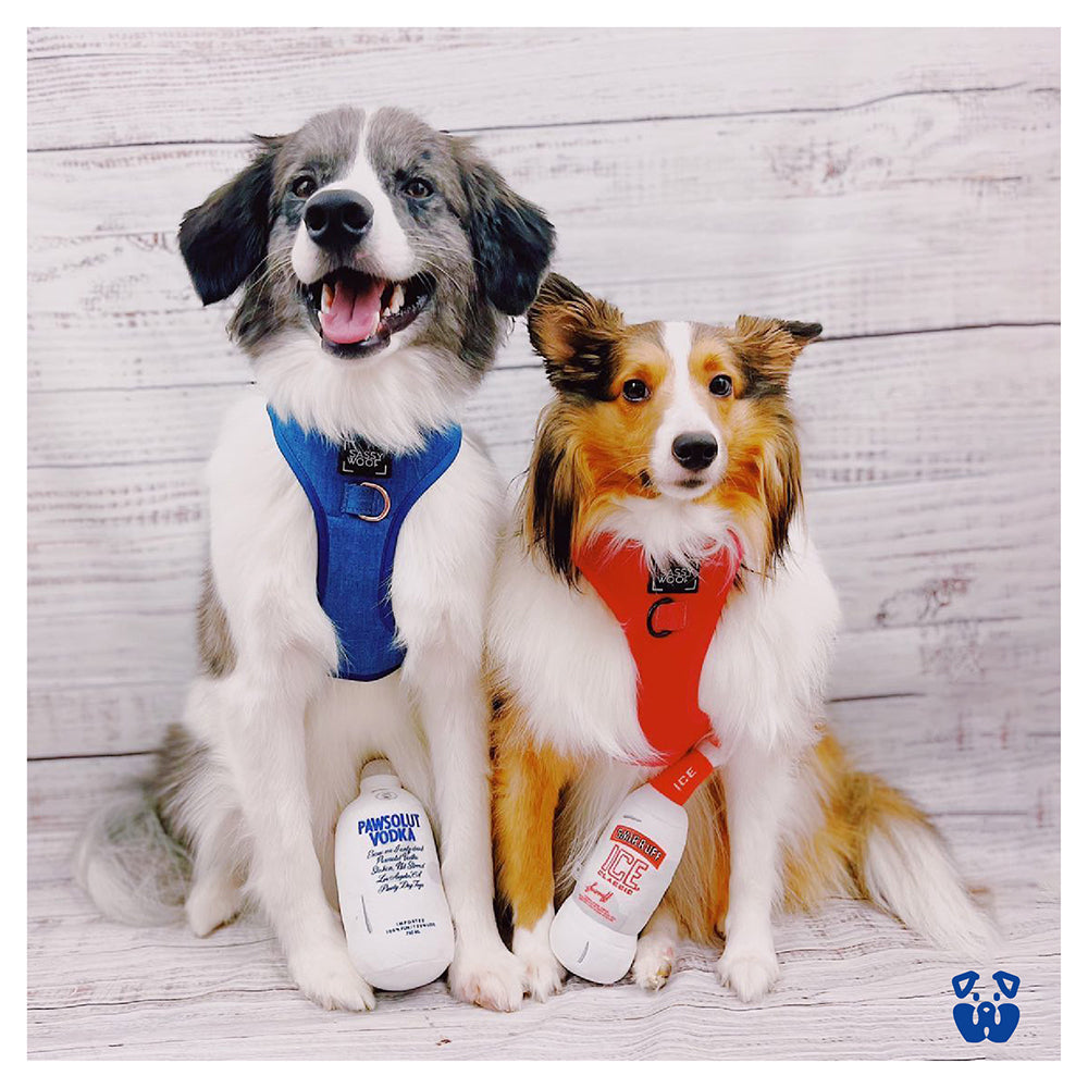 Pawsolut Vodka