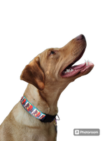 Bigfoot Sasquatch Green Nylon Dog Collar MD, LG, XL, Leash