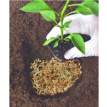 Mosser Lee Sphagnum Moss (7 lt)