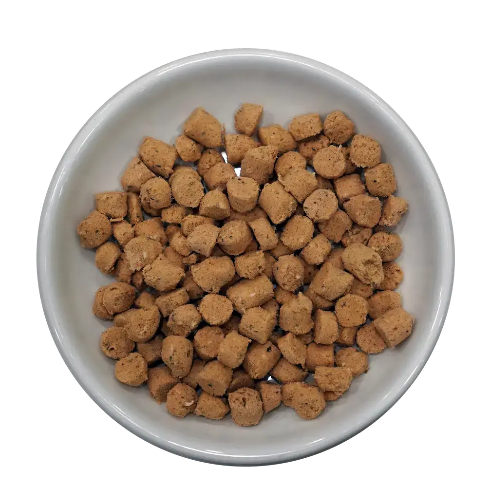 Steve's Real Food Cat Quest Freeze Dried Raw Nuggets Pork 10 oz