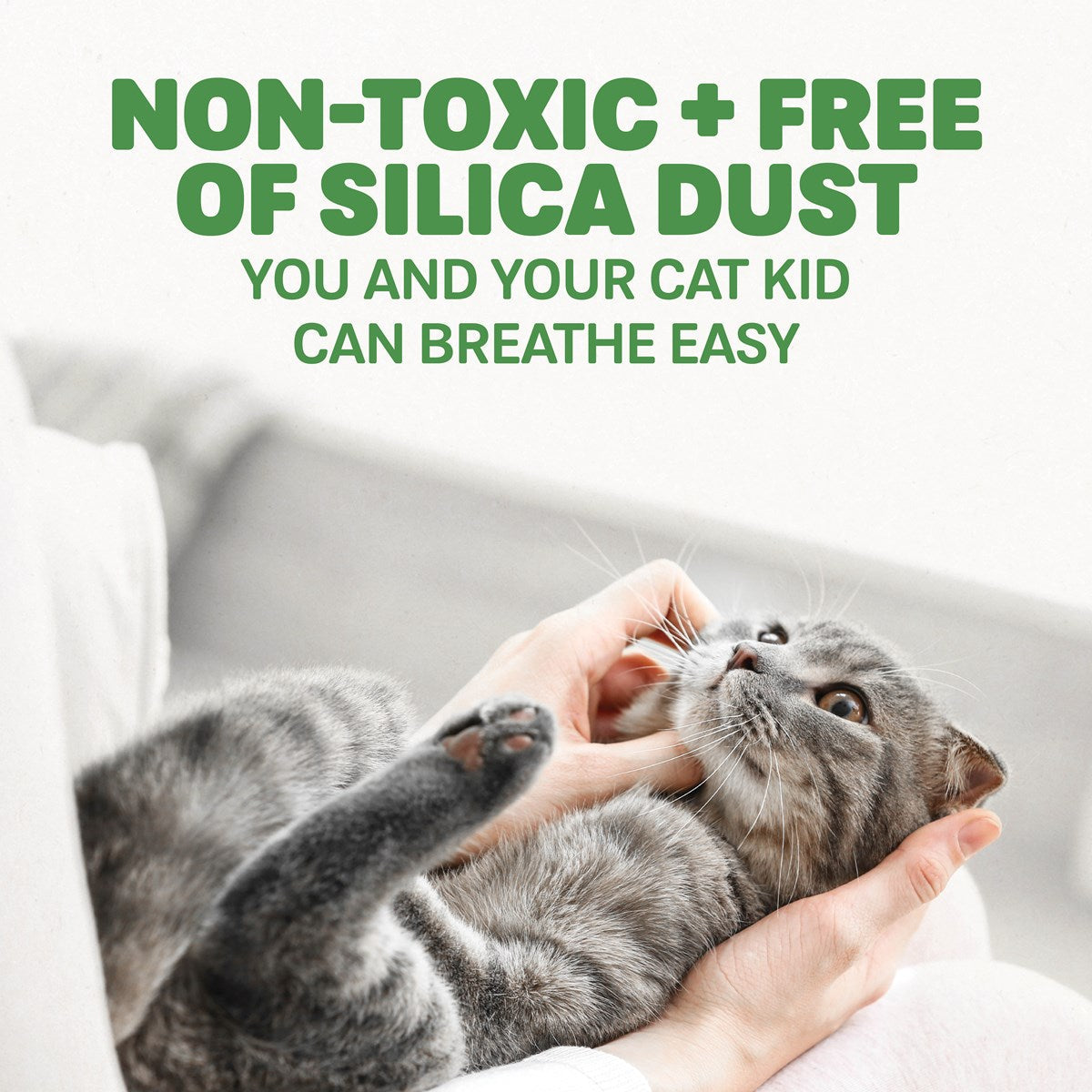 Ecoshell Naturally Fresh Quick Clumping Cat Litter (26 lb)