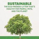 Ecoshell Naturally Fresh Quick Clumping Cat Litter (26 lb)