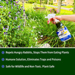 Nature's Mace Rabbit Repellant RTU (40oz)