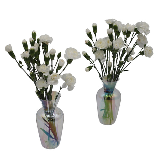 Rainbow Prism Glass Vases – Pair