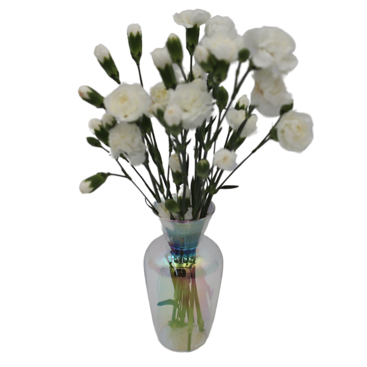 Rainbow Prism Vase - Pair
