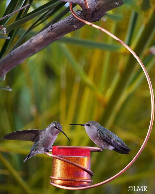 Copper Hummingbird by Nancy Biggins Single Hanging Feeder II