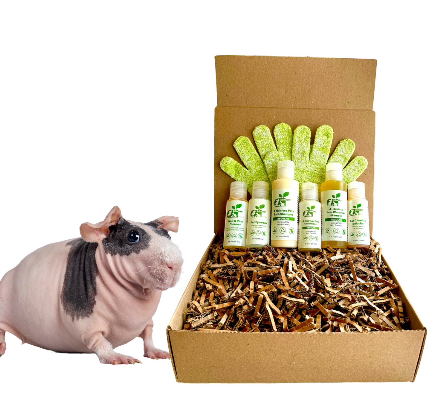 4-HAIRLESS PETS *SKINNYPIG REGULAR KIT
