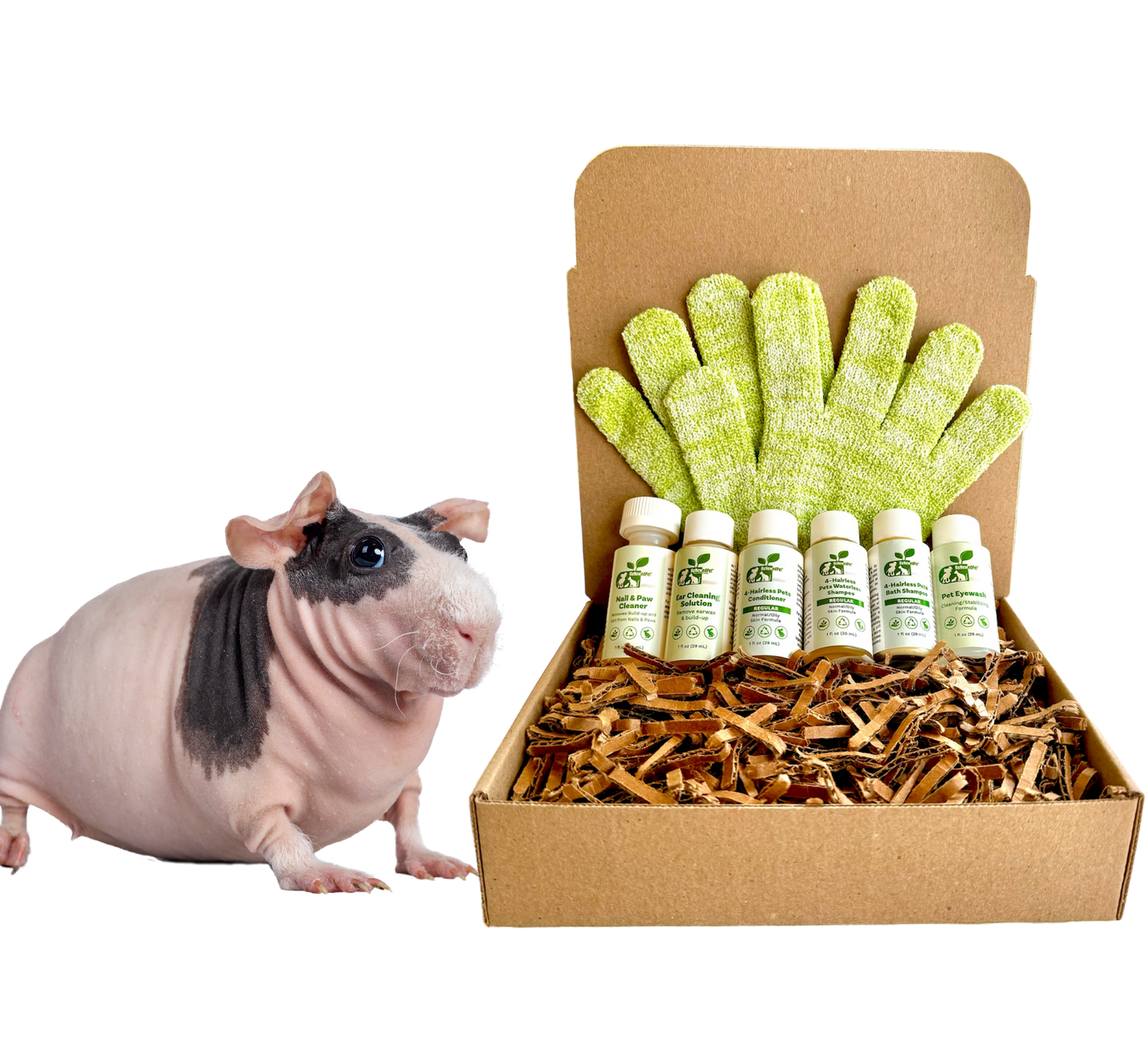 4-HAIRLESS PETS *SKINNYPIG REGULAR KIT