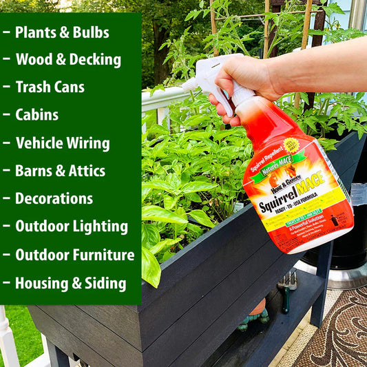 Nature's Mace Squirrel Repellant RTU (40oz)