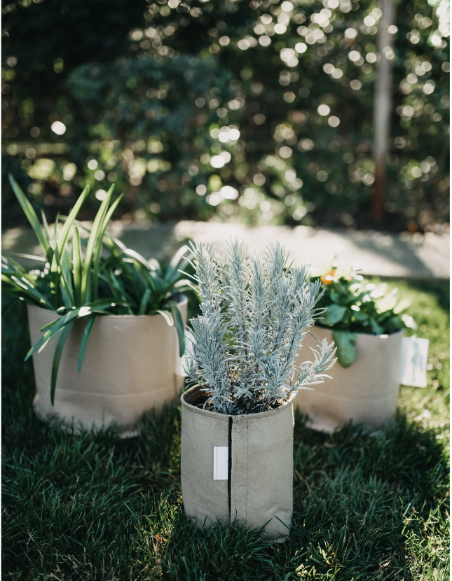 Classic Fabric Pots