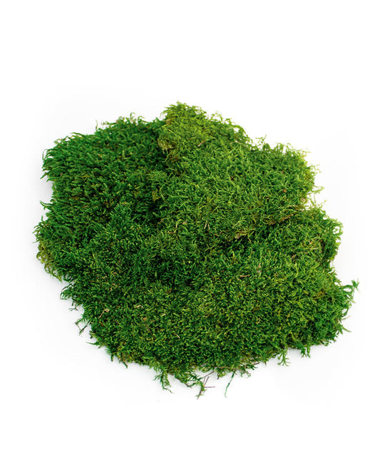 SuperMoss Sheet Moss 200ci