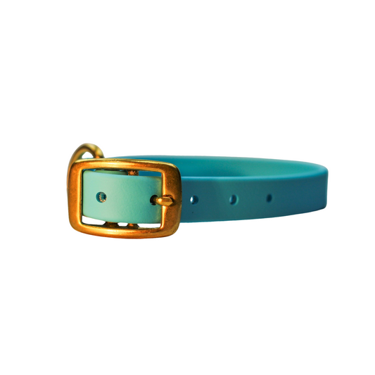 Blueberry Bliss Biothane Collar