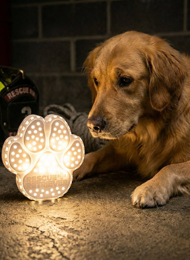 Rescue Retriever™ – Pet Smoke Detector for Fire Safety