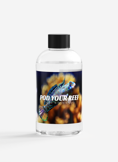 Tisbe Biminiensis Reef Copepods